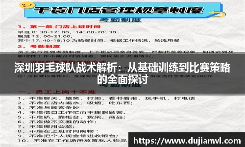 深圳羽毛球队战术解析：从基础训练到比赛策略的全面探讨