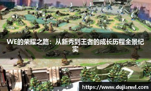 WE的荣耀之路：从新秀到王者的成长历程全景纪实